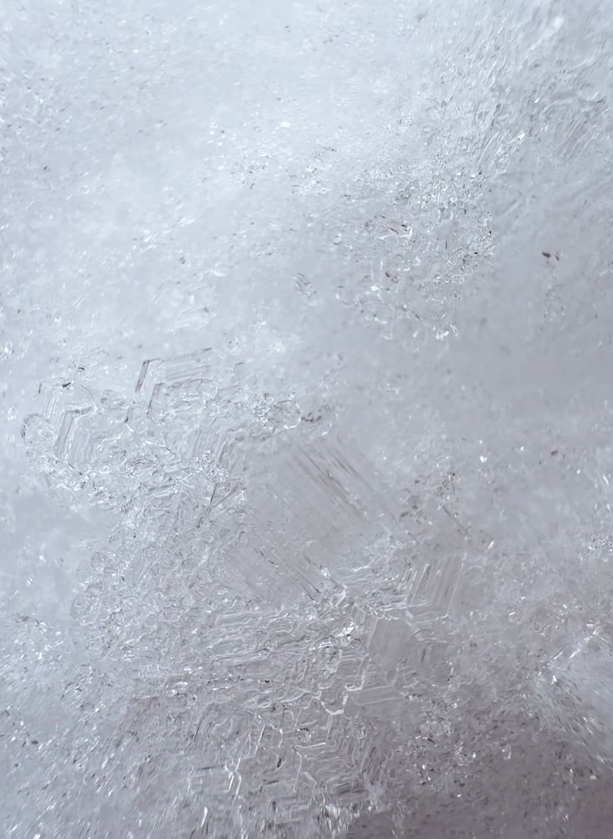 Surface hoar preserved on the January crust 