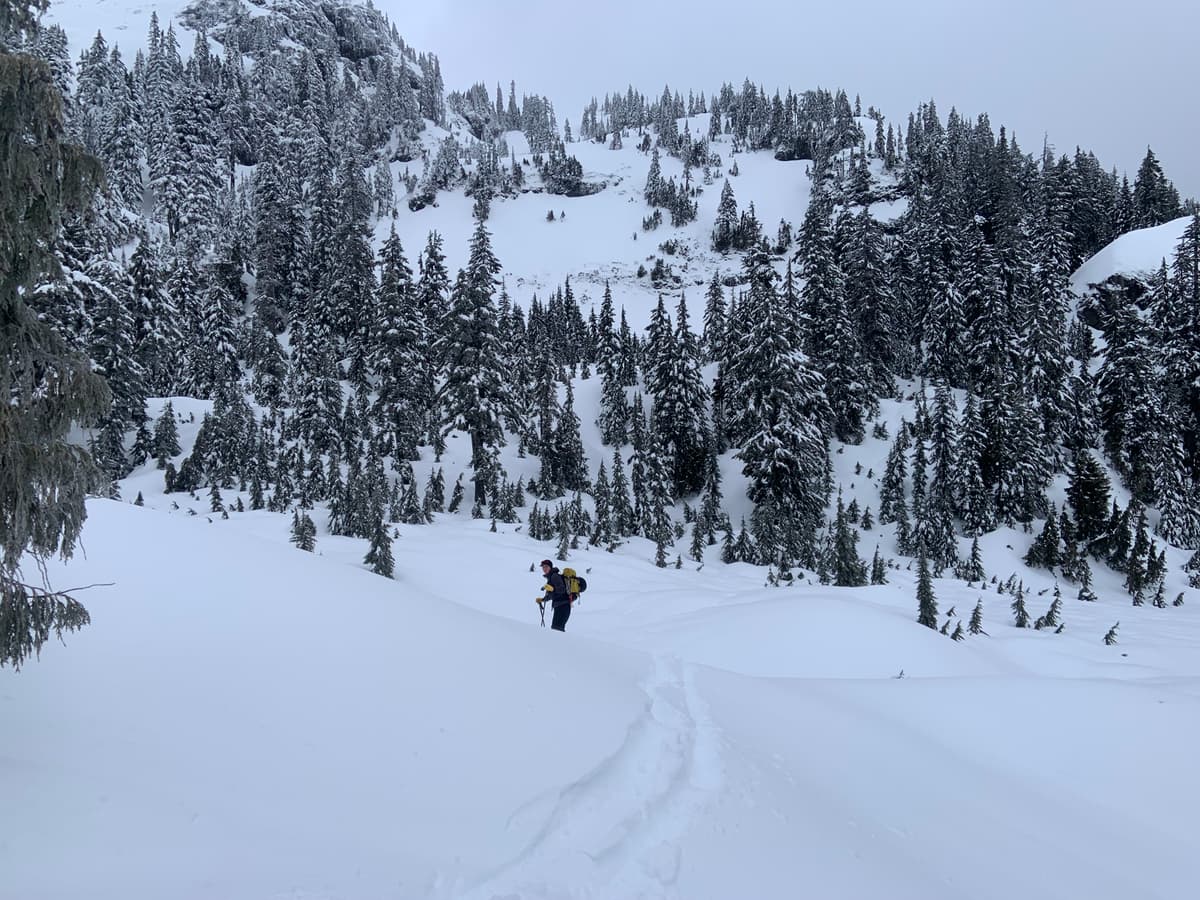 Rain runnels on top of soft powder