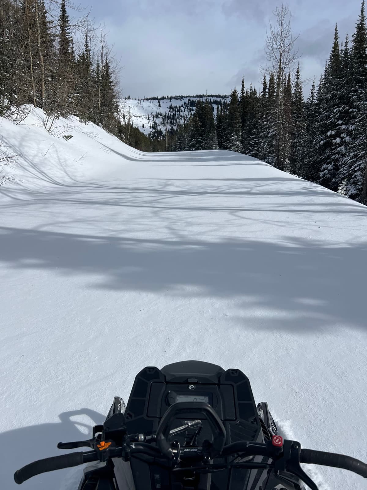 20 cm of fresh on the road!