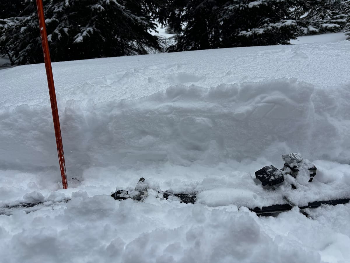 New snow in the trees around 1950m. 30-40cm at times. 