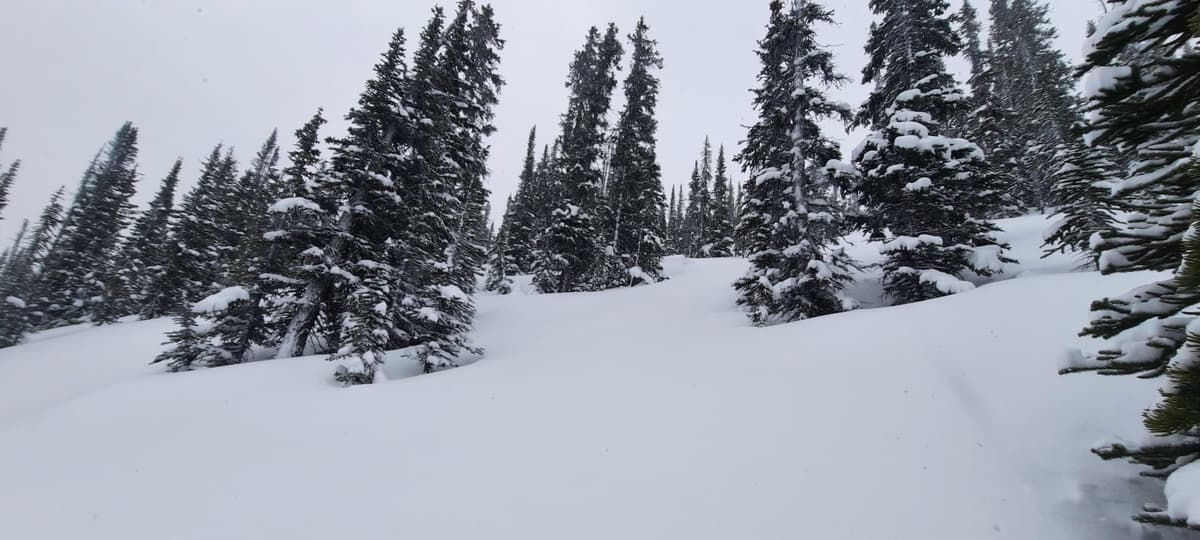 Glades churchill