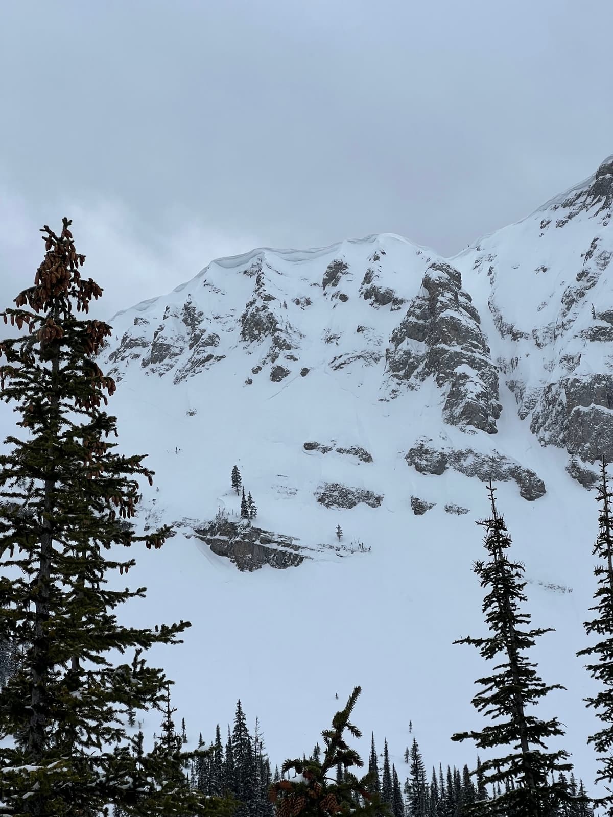 We’ve observed extensive cornice growth across the region this week. 