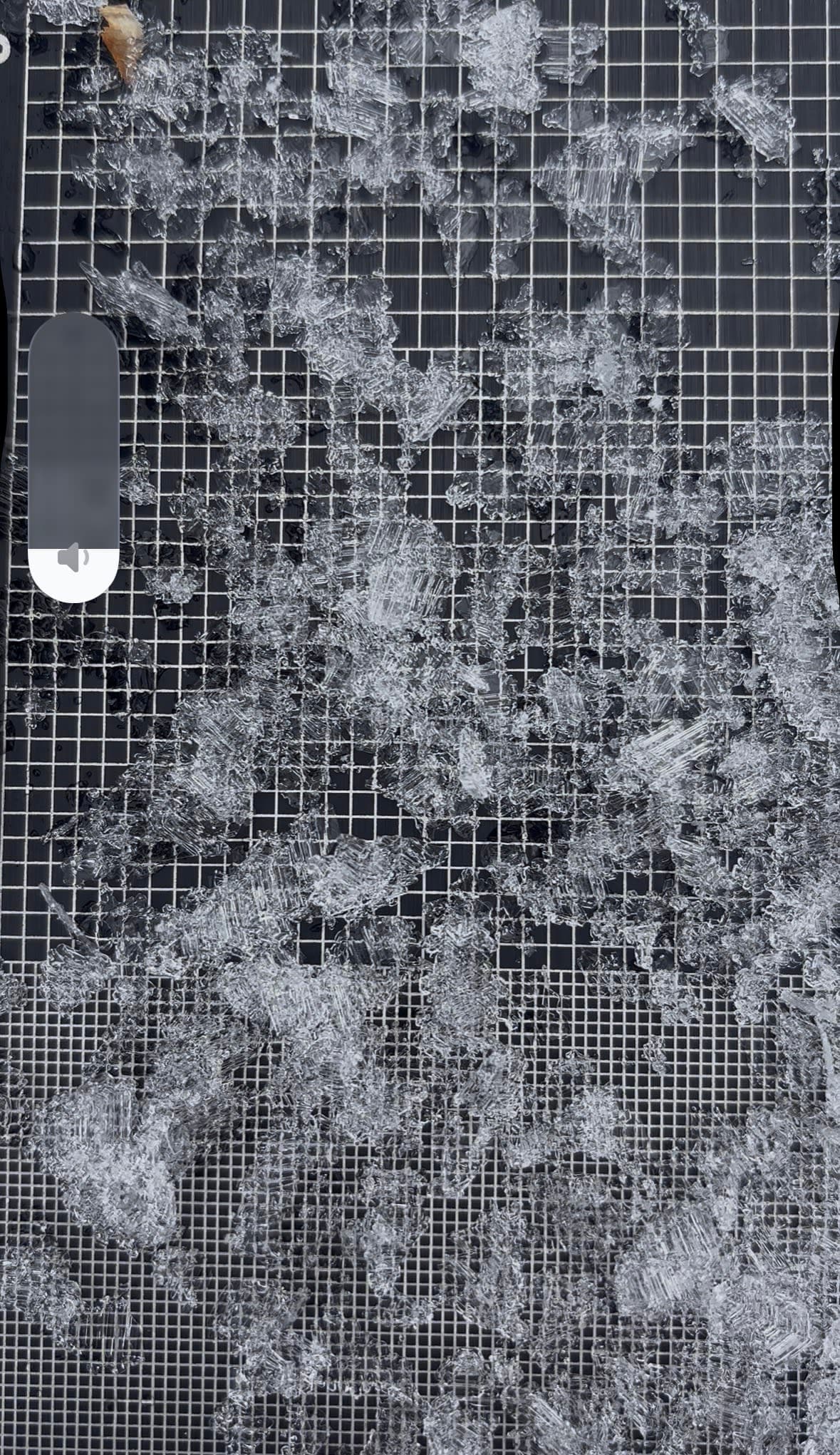 Preserved buried surface hoar which failed in tests 