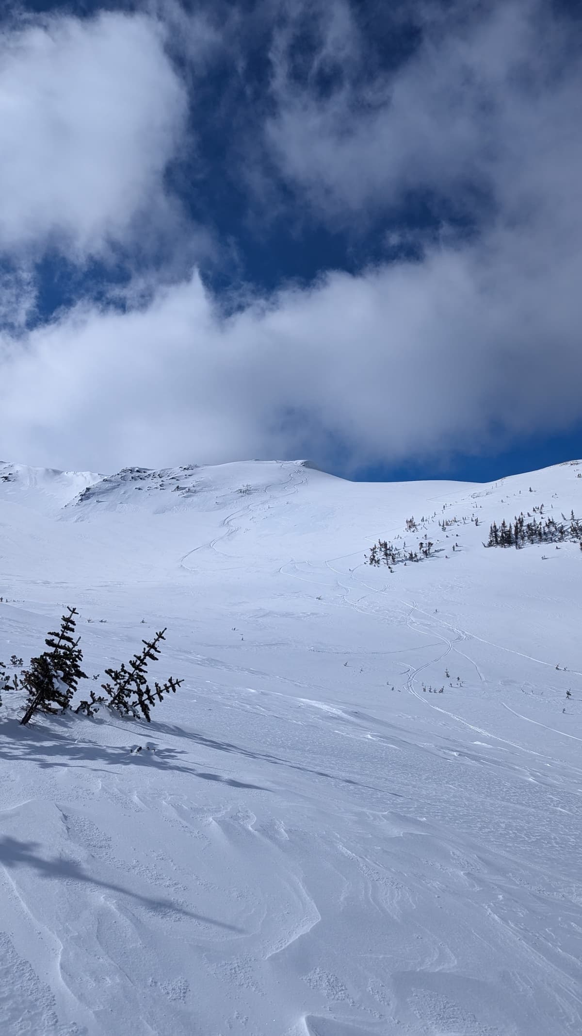 Highest line of the day, quality was better lower