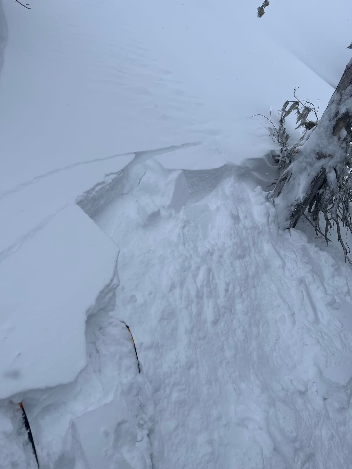 Example of small wind pocket released on the NW-facing slope above Mammoth Droppings. 