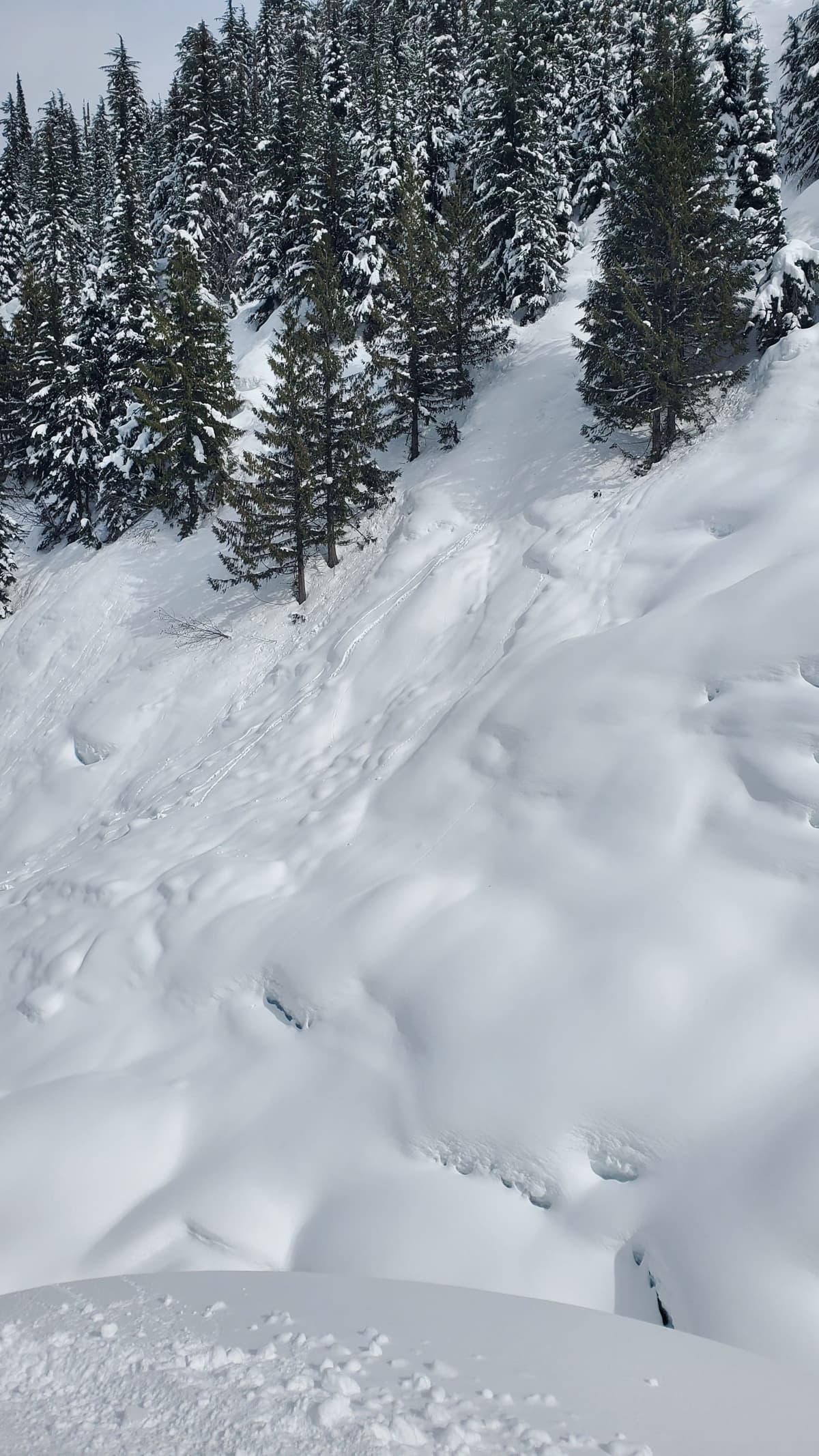 A bit of pinwheeling on the way out