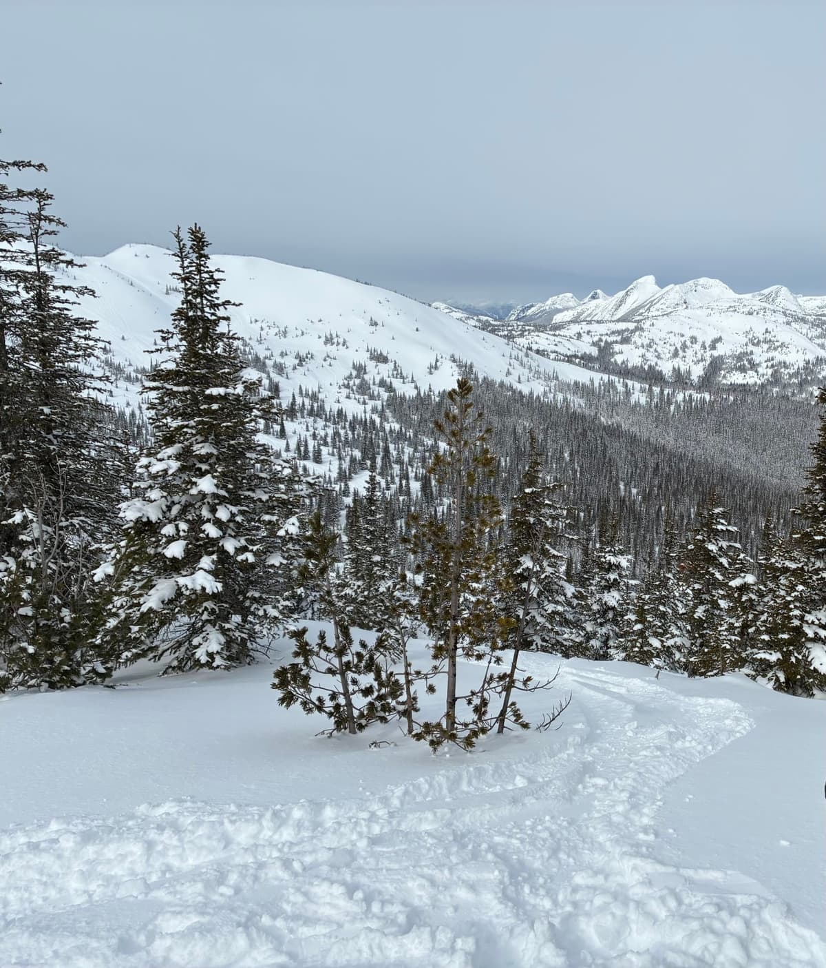 Looking North west from near the 10K Cabin