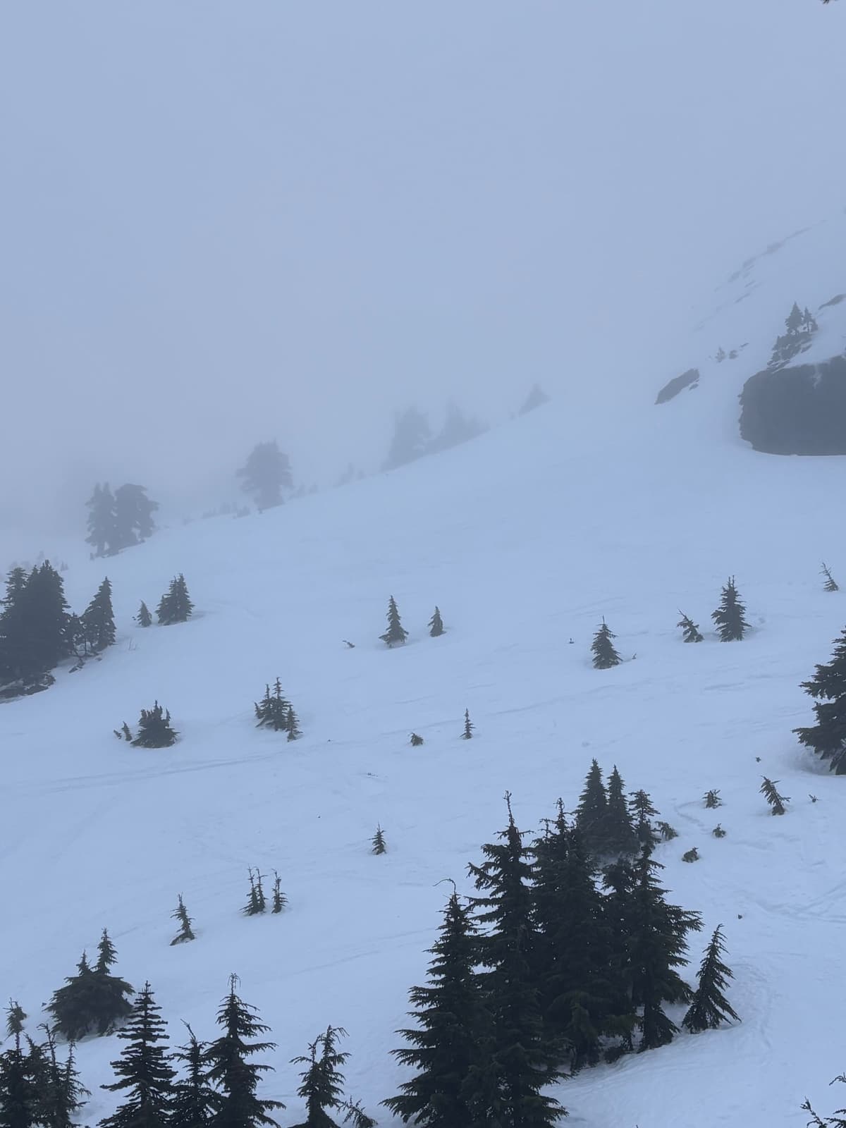 Looking up from the old ski hill at Cokely 