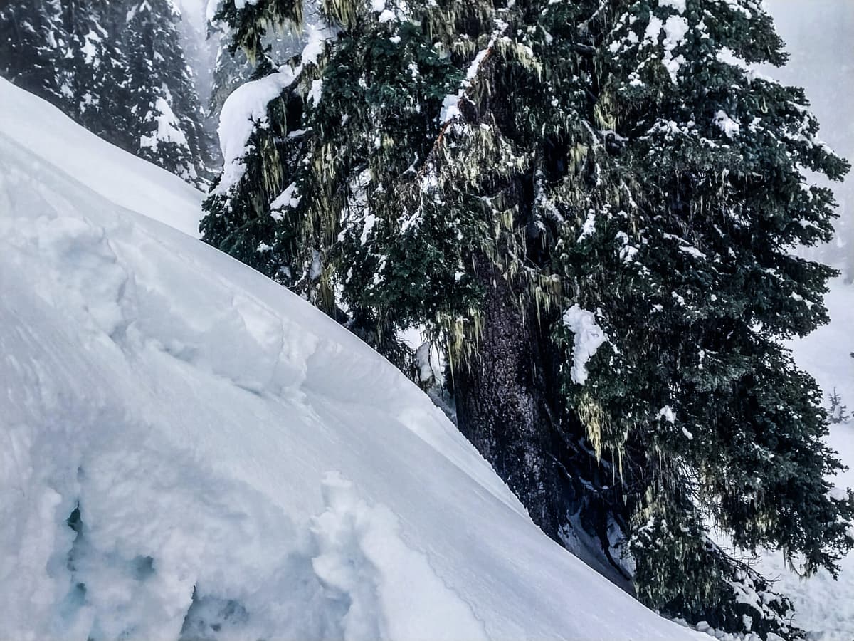 This was a small ski cut near another slab that had run naturally recently.