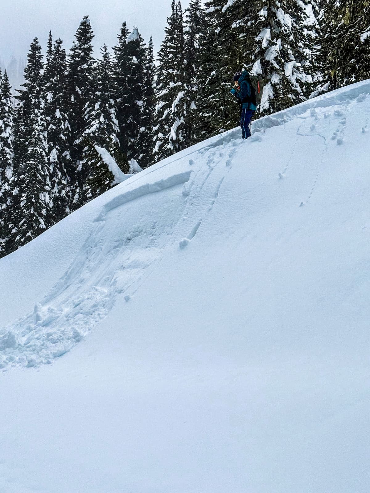 Ski cut on a road bank.