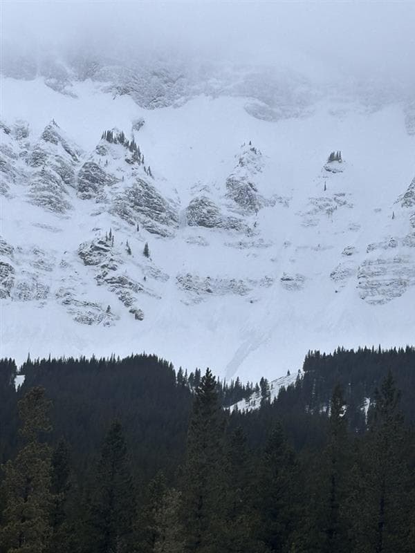 Size 1 loose wet avalanches