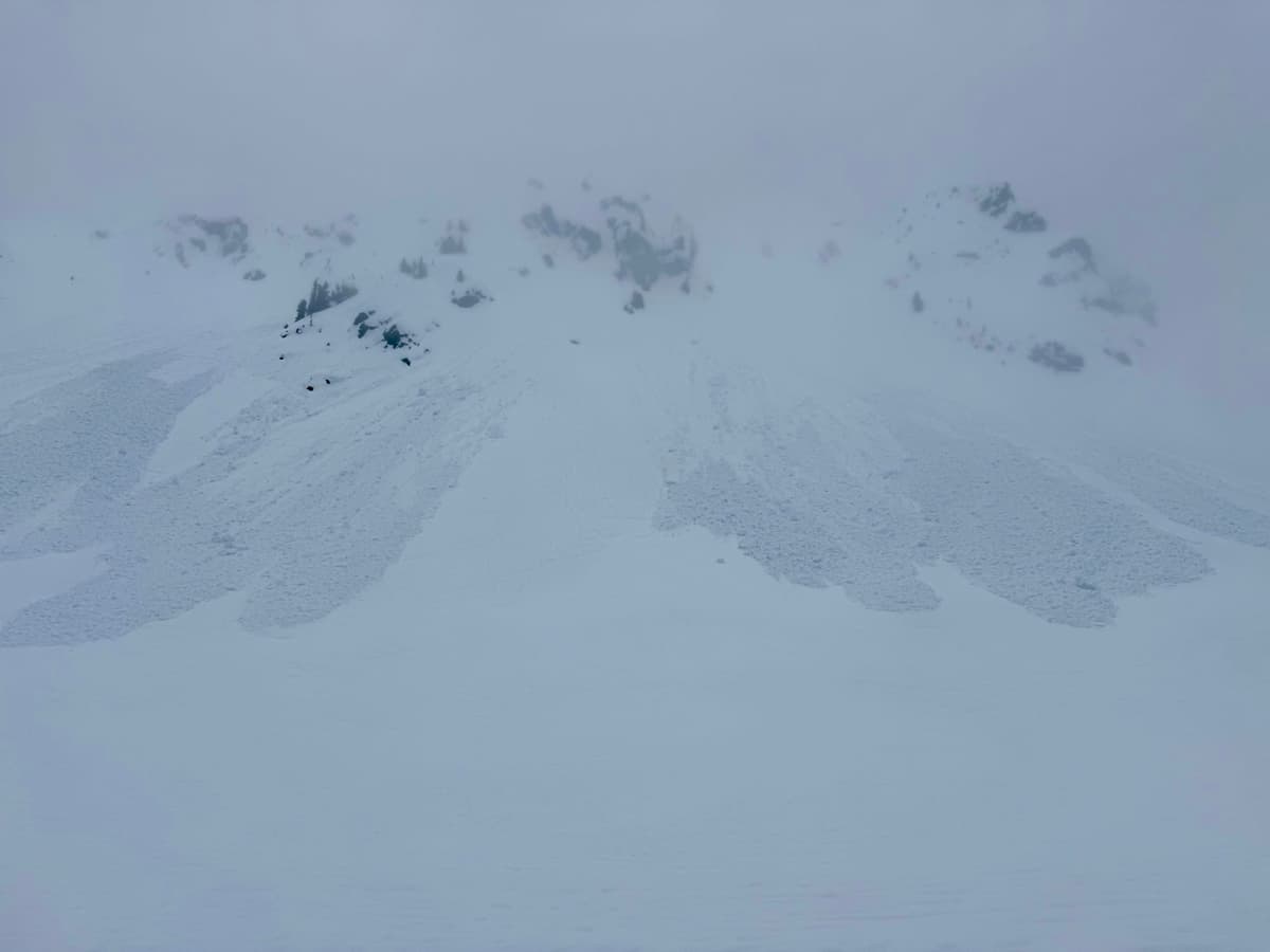 These all started as slabs before entraining wet snot and realizing their ultimate destiny of being loose wet avalanches, this feature is just above treeline.