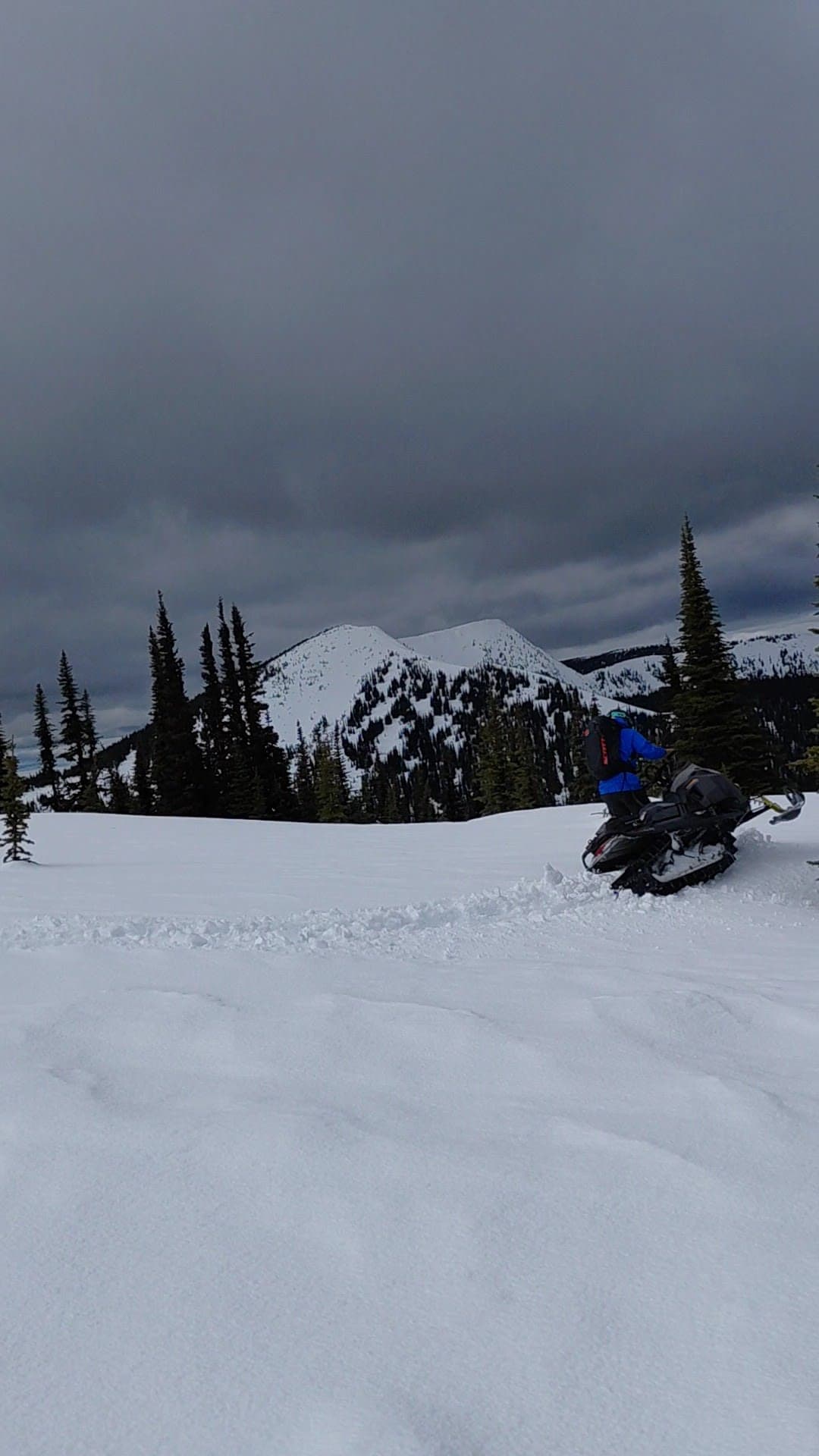 Fun sledding TL - Alpine