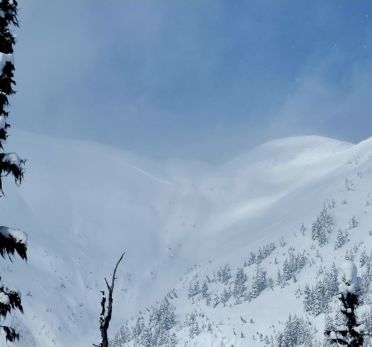 Deepist visible slab in Geronimo bowl.