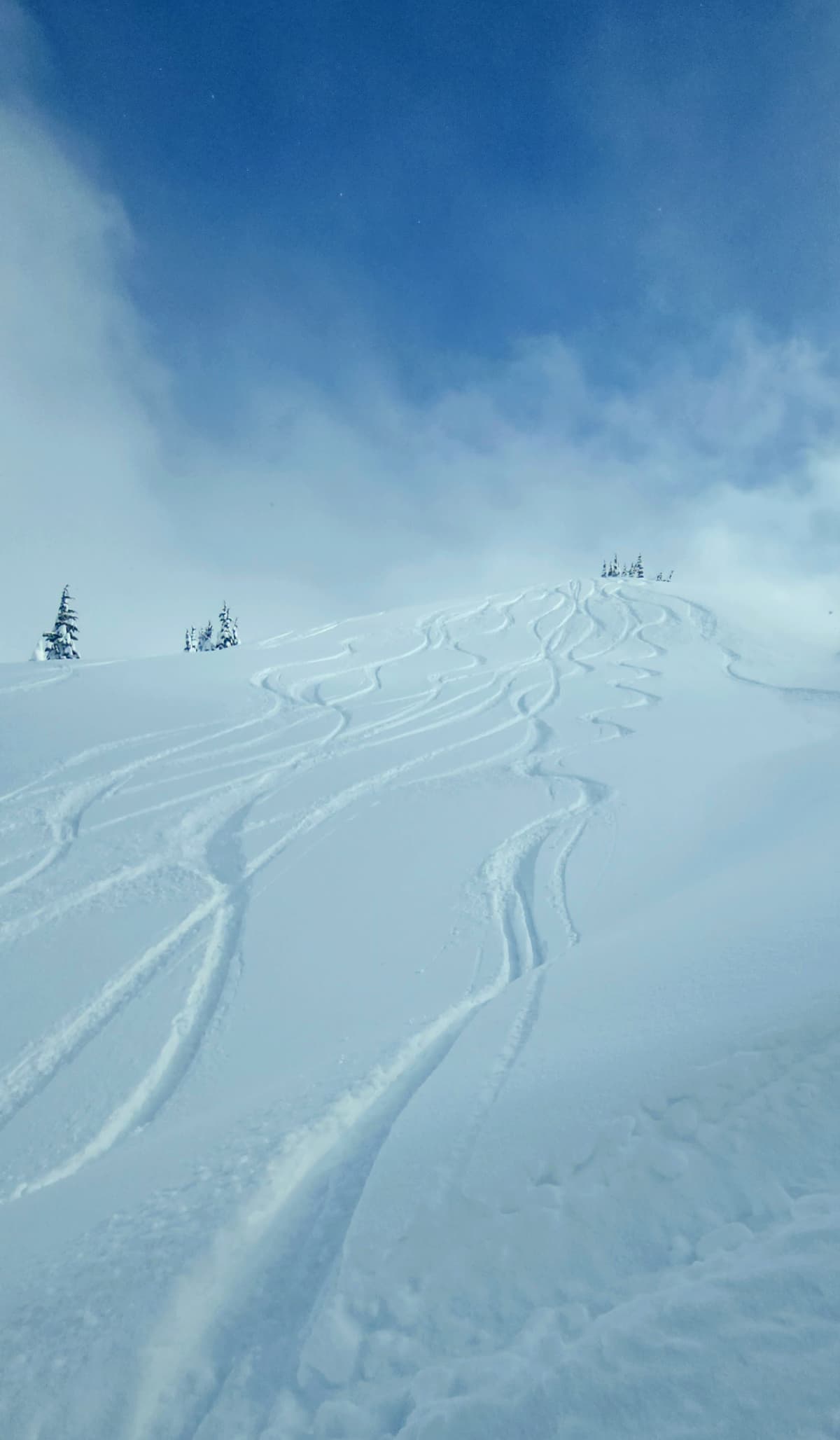 Sweet lines in Mary's run area.