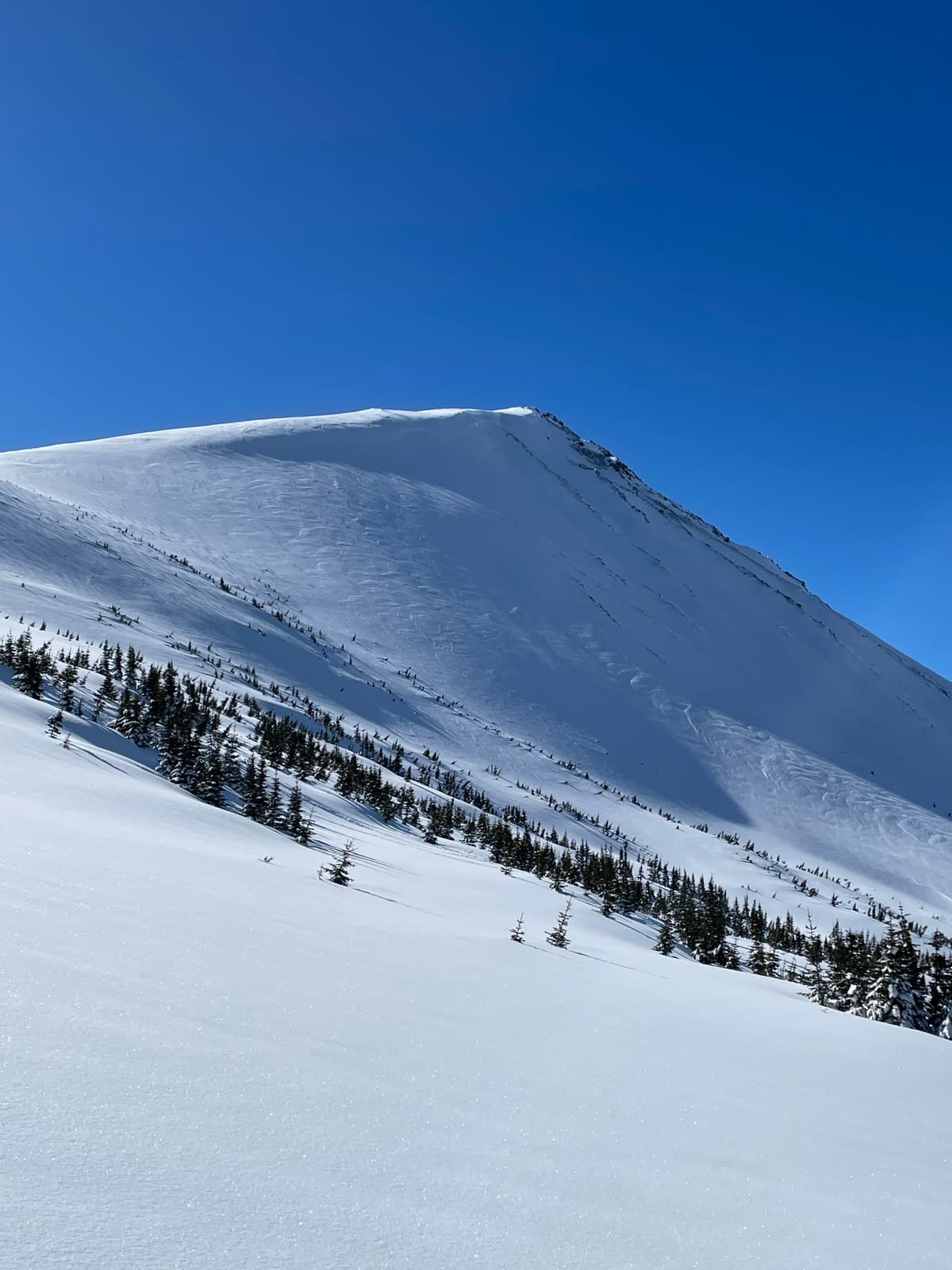 Some wind in the alpine with Friday’s snow. 