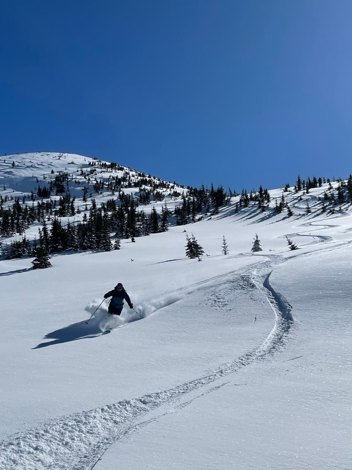 Blower pow in the meadows. 