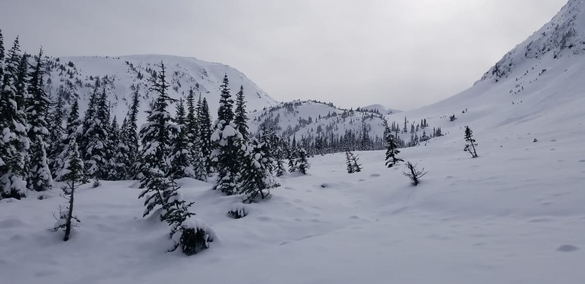 Furthest debris runout seen in the last decade with trees pushed over at max runout