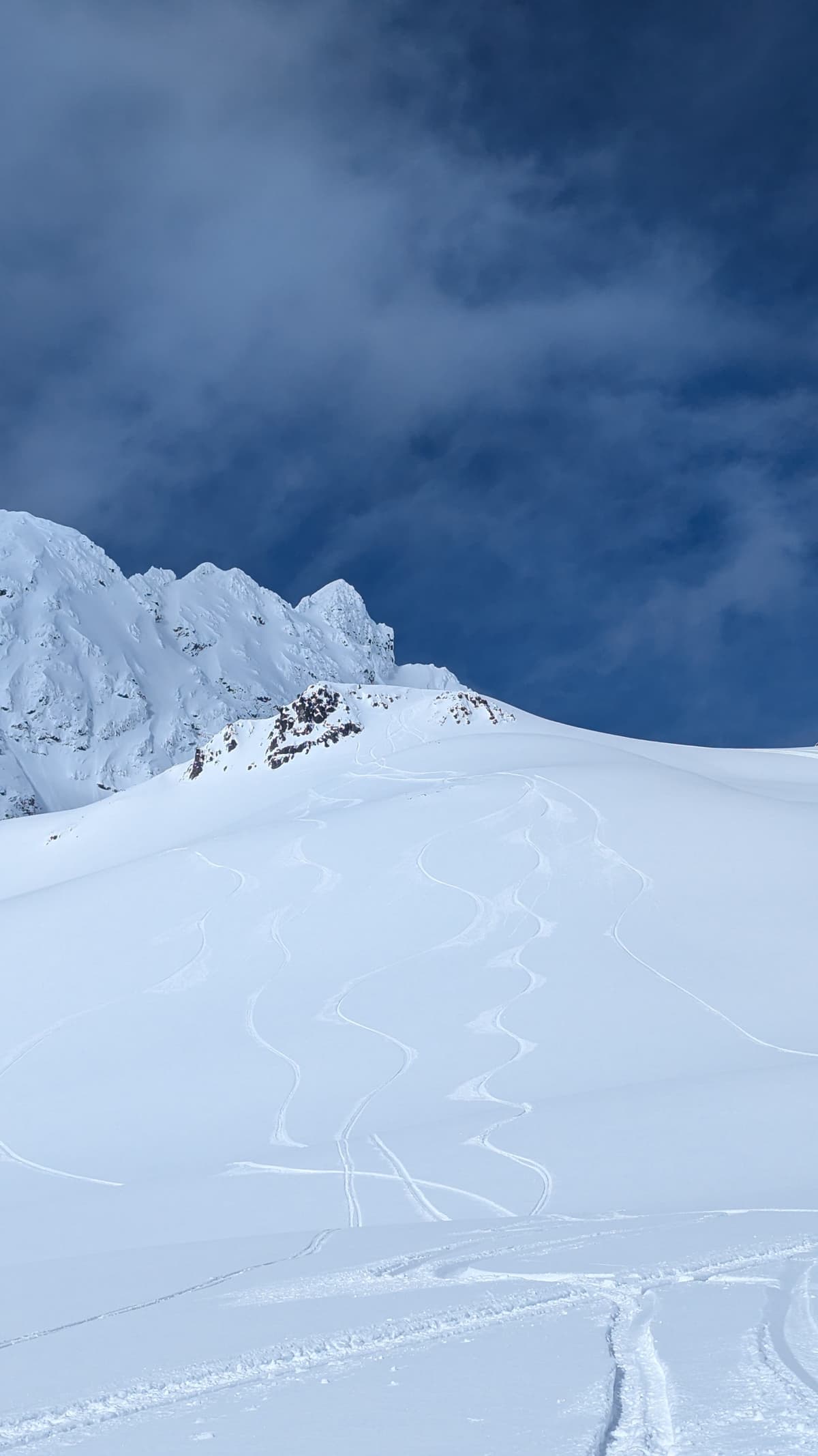 Short sleds laps and fun wiggles