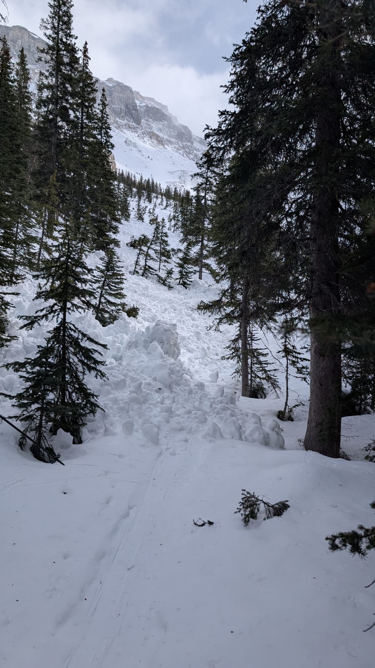 Another avalanche from the southern aspect all the way to the path.