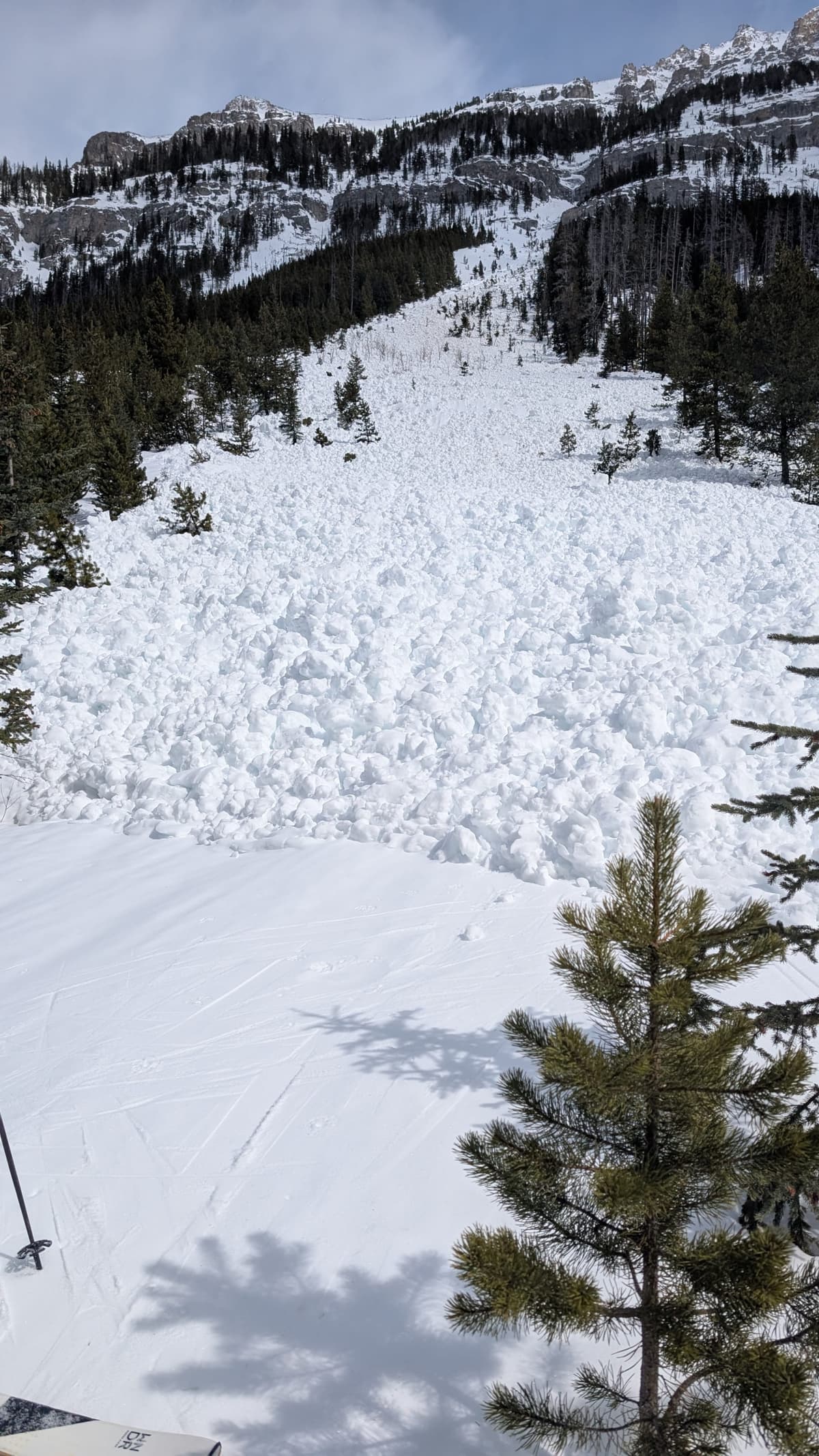 Avalanche debris on south west facing aspect