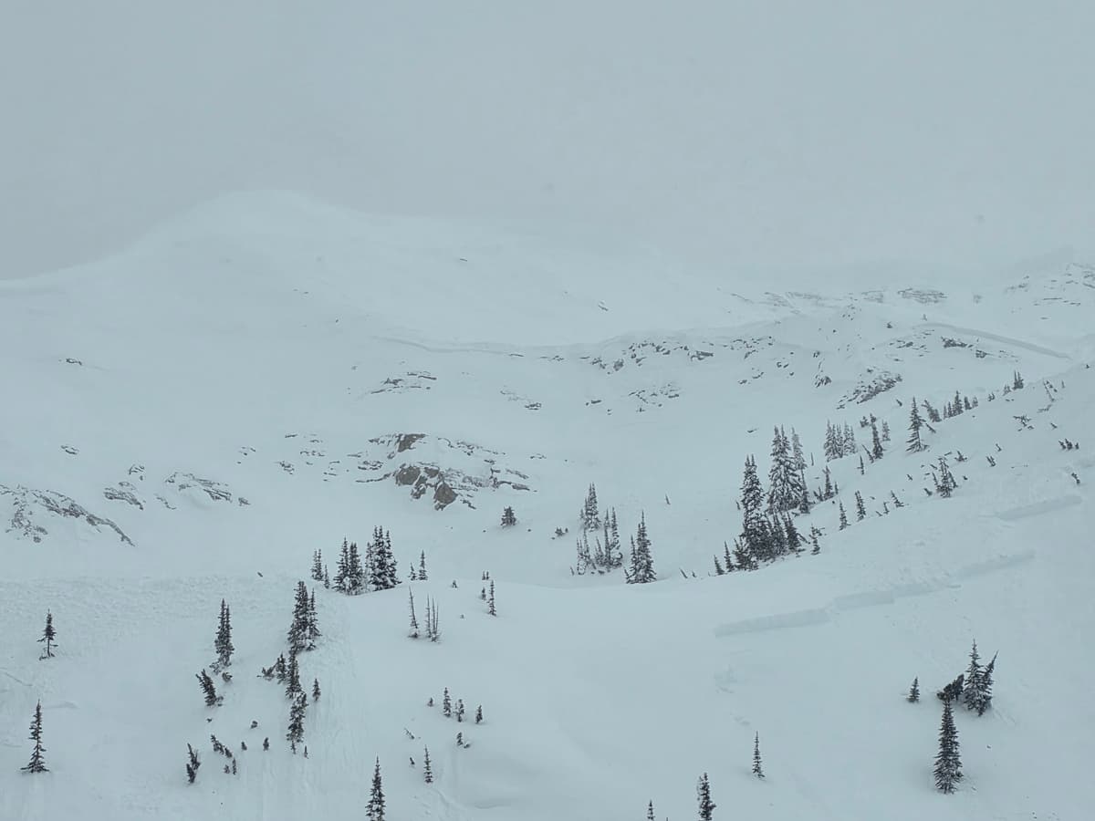 View of top bowl initial start. (Not seen is alpine bowl that avalanche traveled through) In left of picture is debris from avalanche that triggered the lower ridge to propogate