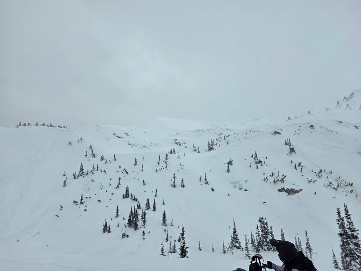 
View of alpine ridge start zone and lower ridge start zone. ( east aspect)