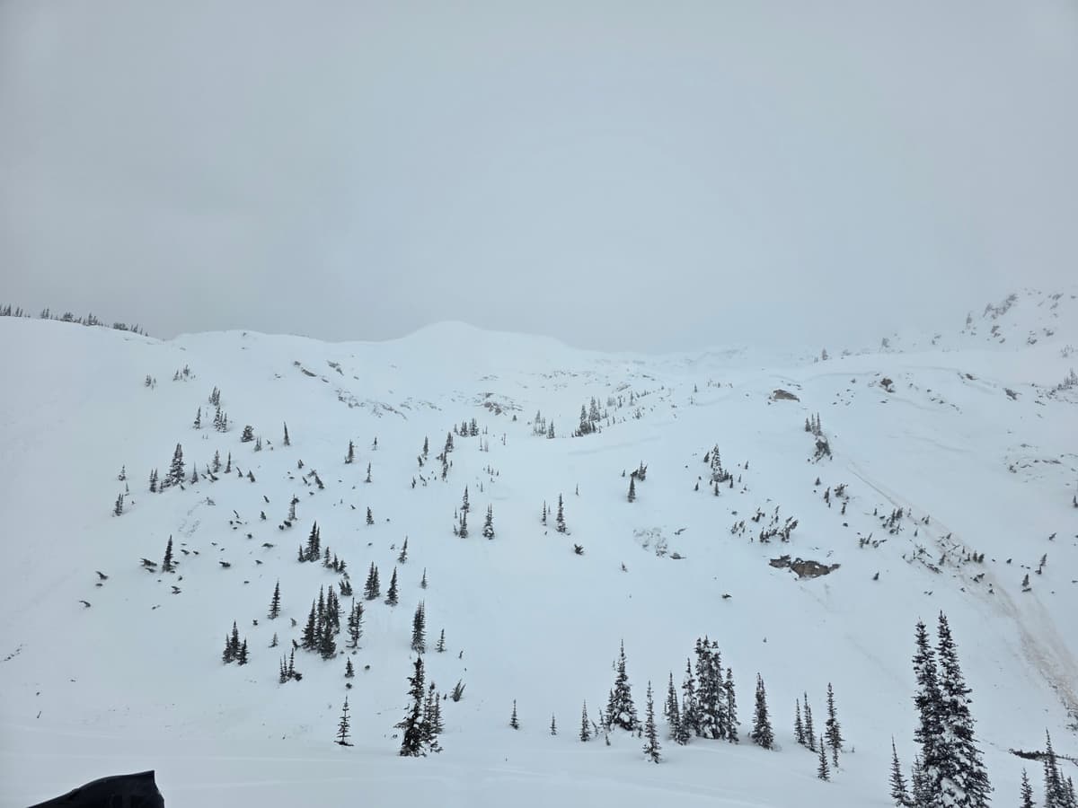 Viw of alpine and ridge avalanche 