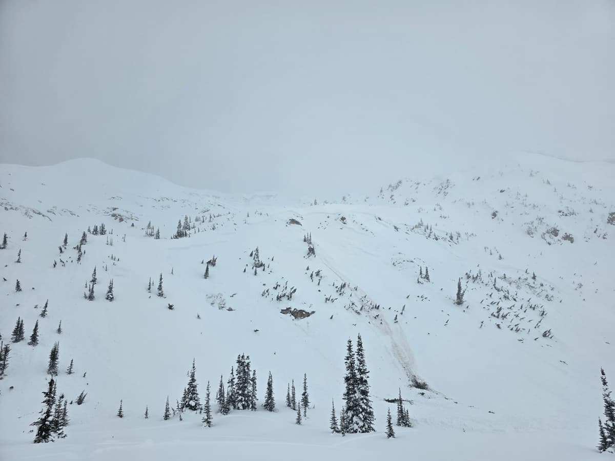 Ridge propagation crown.  Large trees destroyed abd carried down