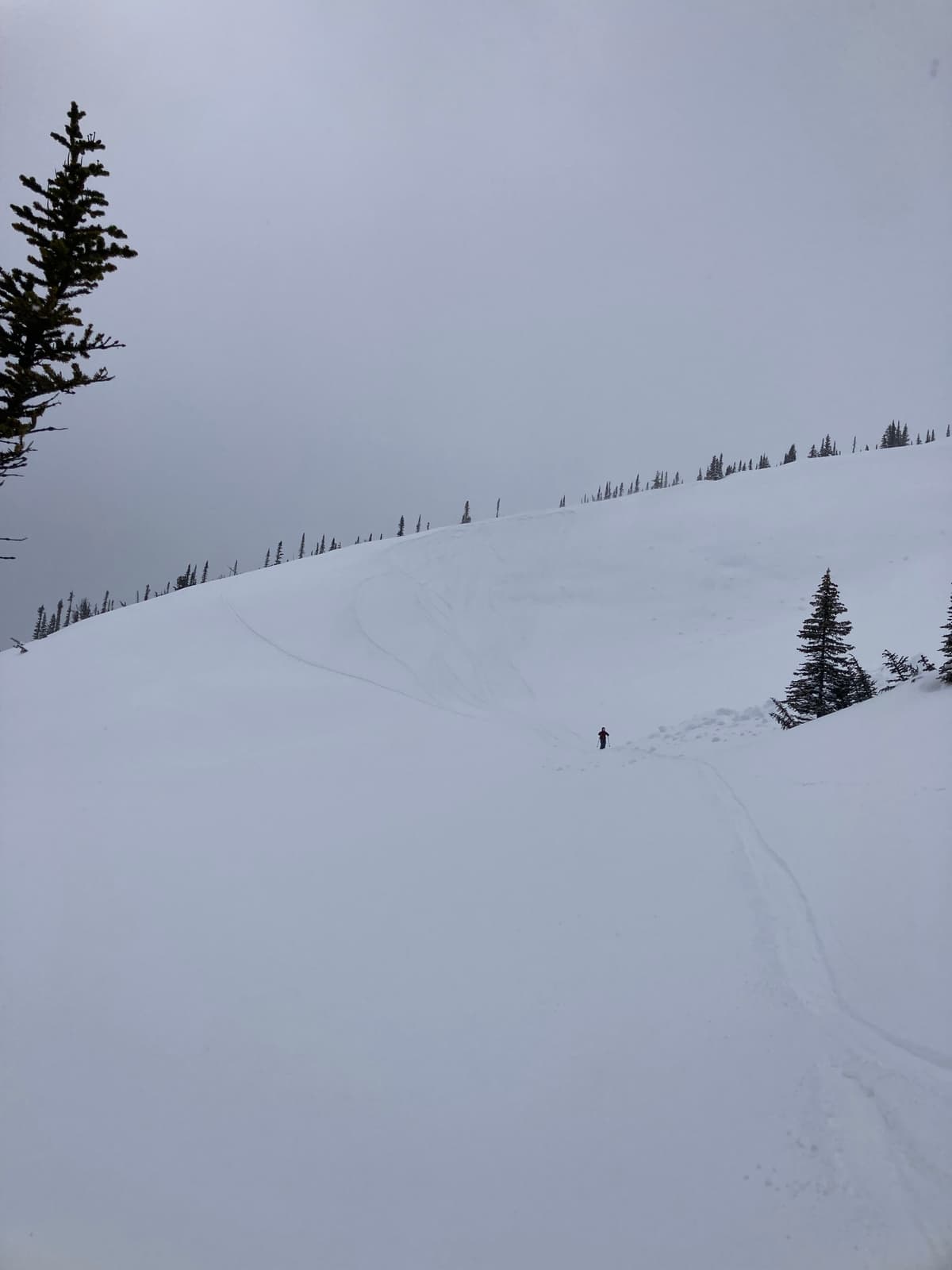 Bruins riges descent, until we got to 2000m it was decent skiing! 