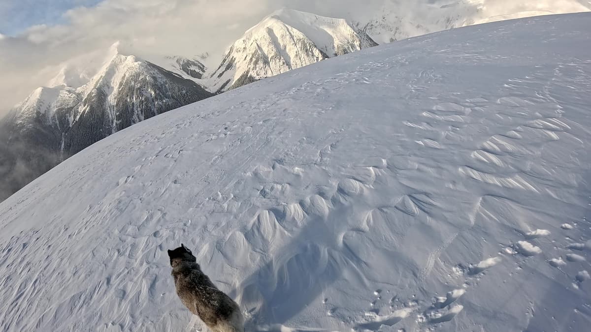 Atop The Dome - windy and cold. Ski or foot penetration only a few centimeters. There was only one line that looked good from where I was at the time.