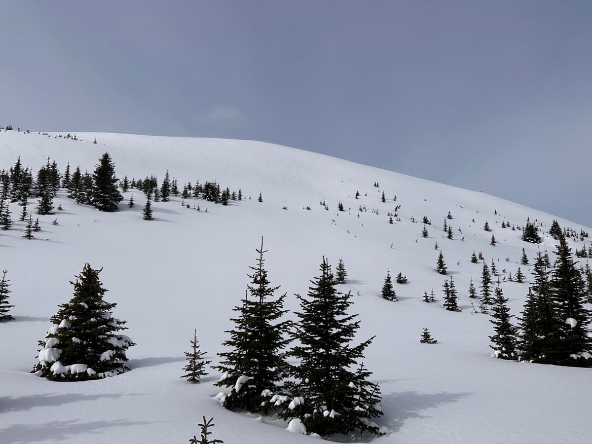 52.71017N, -117.6863E - location of where it was taken from
2218m altitude @ 12:44:
Photo of East face