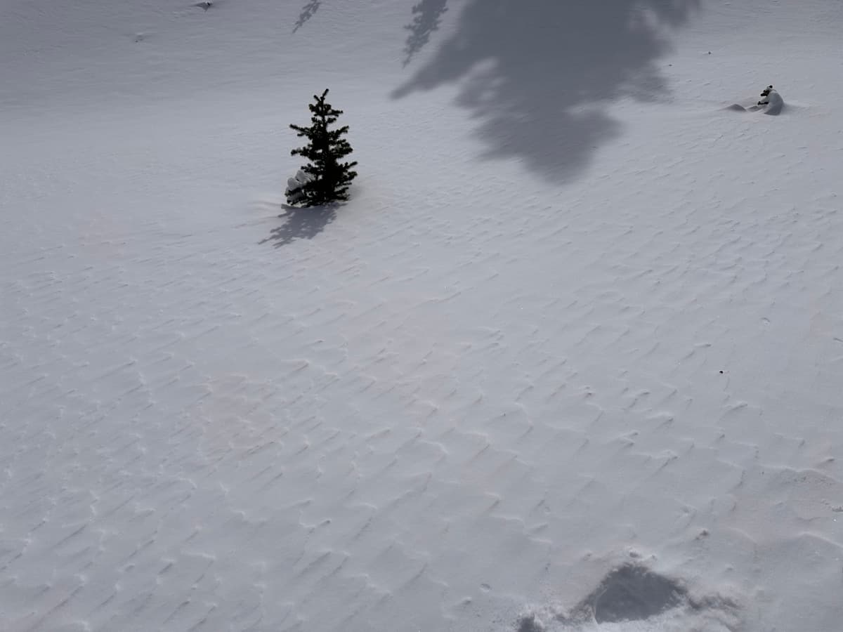 52.71459N, -117.68055E
2103m altitude @ 12:19:
Slight wind blown