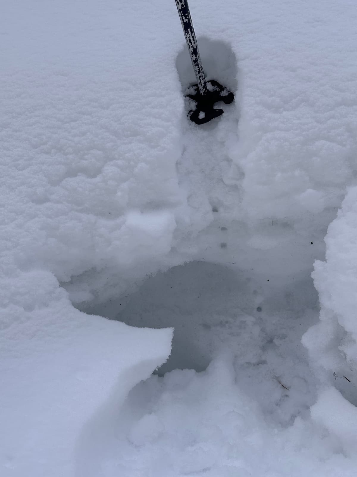 52.72226N, -117.66246E
1773m altitude @ 10:48:
To the ski pole is ice