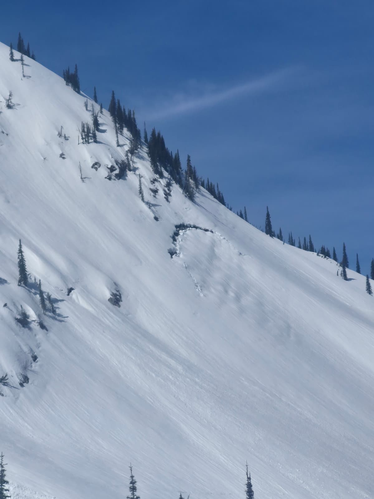 Noticed what appears to be a glide crack that formed on a NE aspect. 