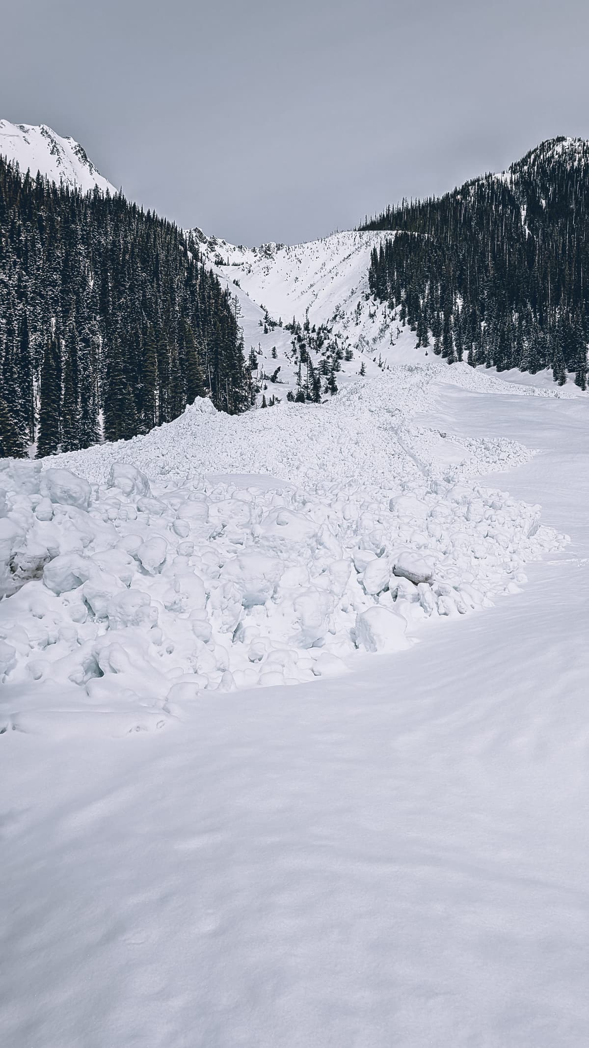 Grizzly slide path