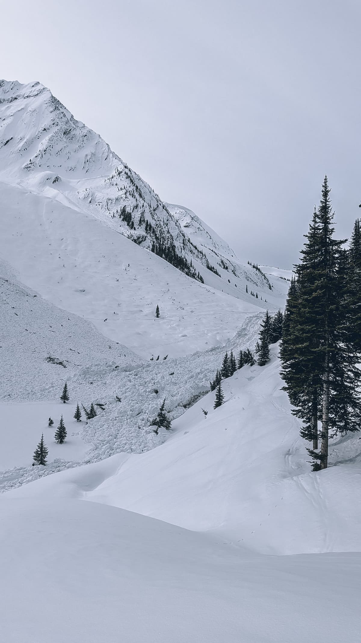 Connaught Creek looking up the valley 