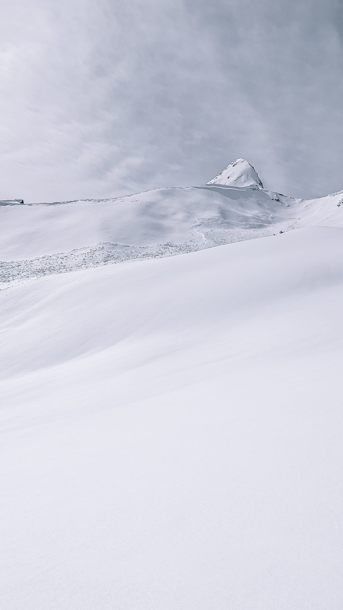 Bruins Ridge 