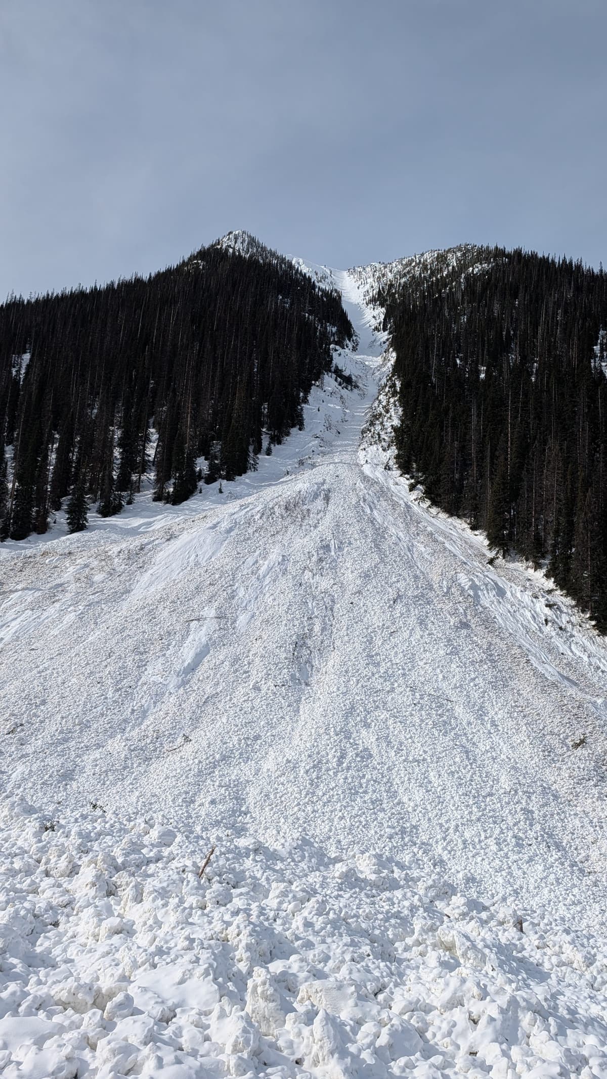 Frequent Flyer slide path 