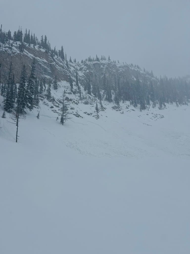 We observed a widespread natural avalanche cycle as we moved through terrain