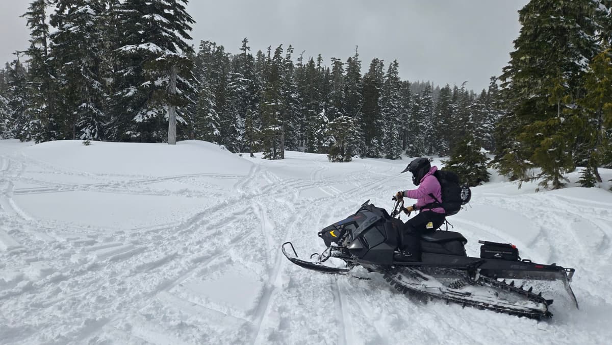 Just enough snow on the crust on the north Island to get an edge in. We would bet skiing today was quite nice if you could stay out of the wind.