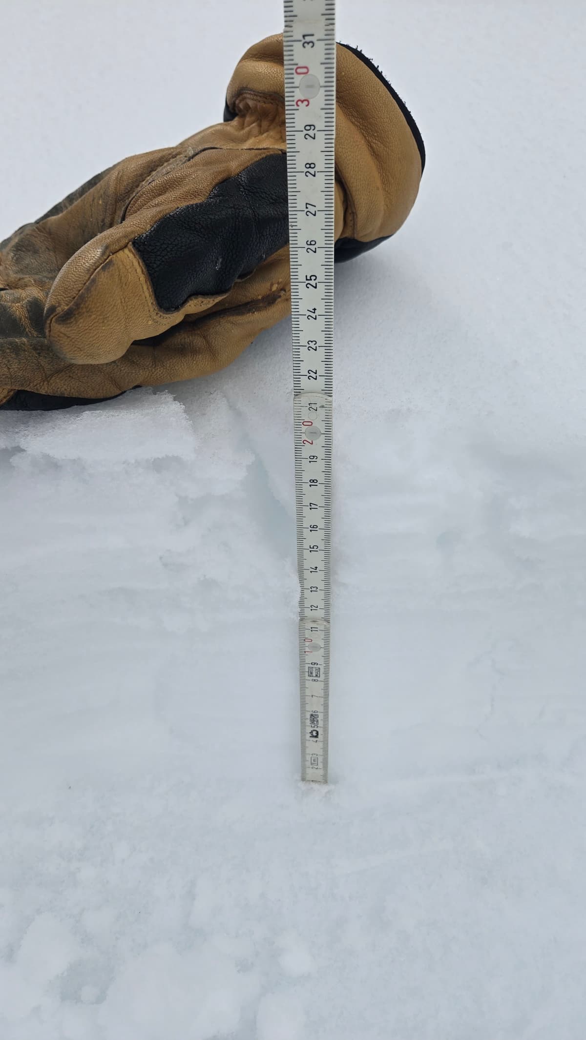 Only 20 cm of mostly moist snow on the atmospheric river crust at 1200m.