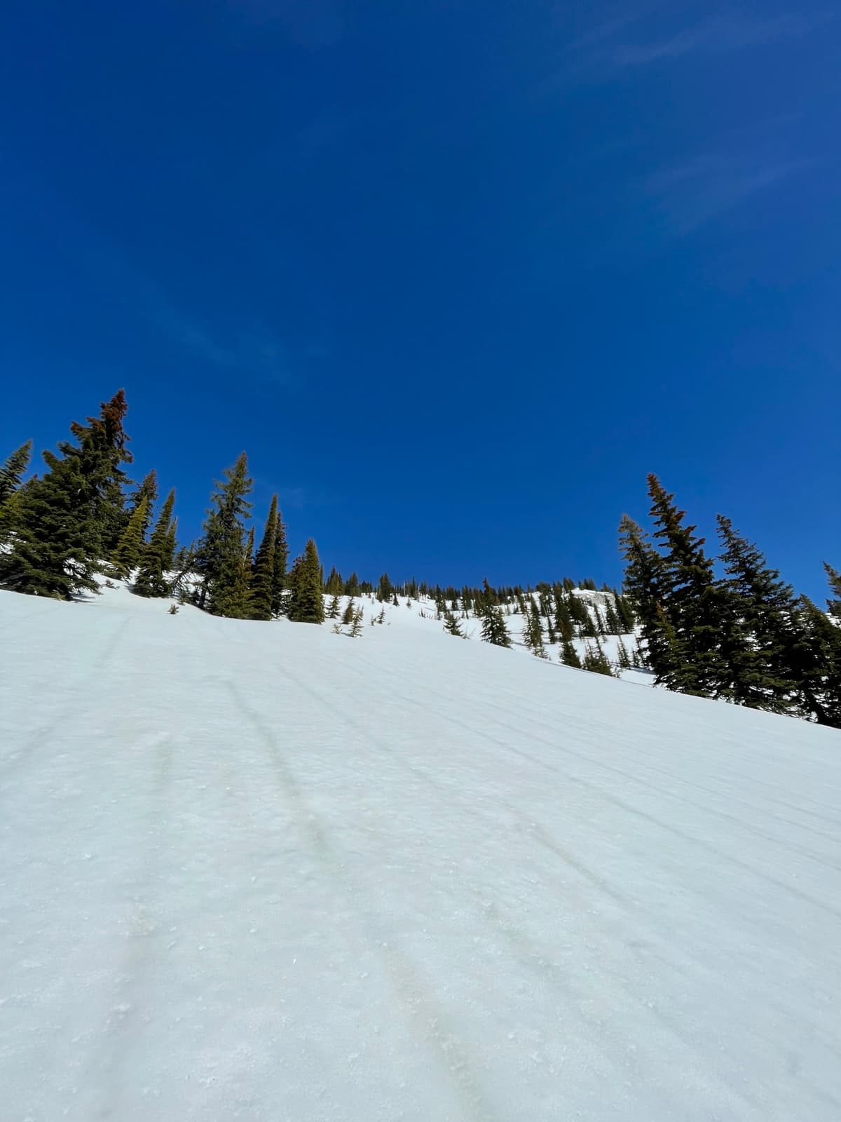 Good Corn skiing found on a south facing aspect.