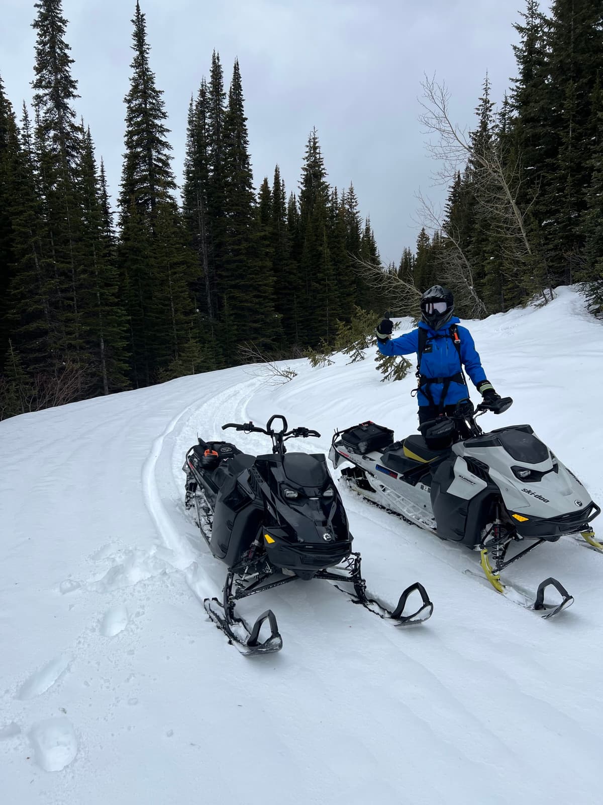 Snow coverage on the road!