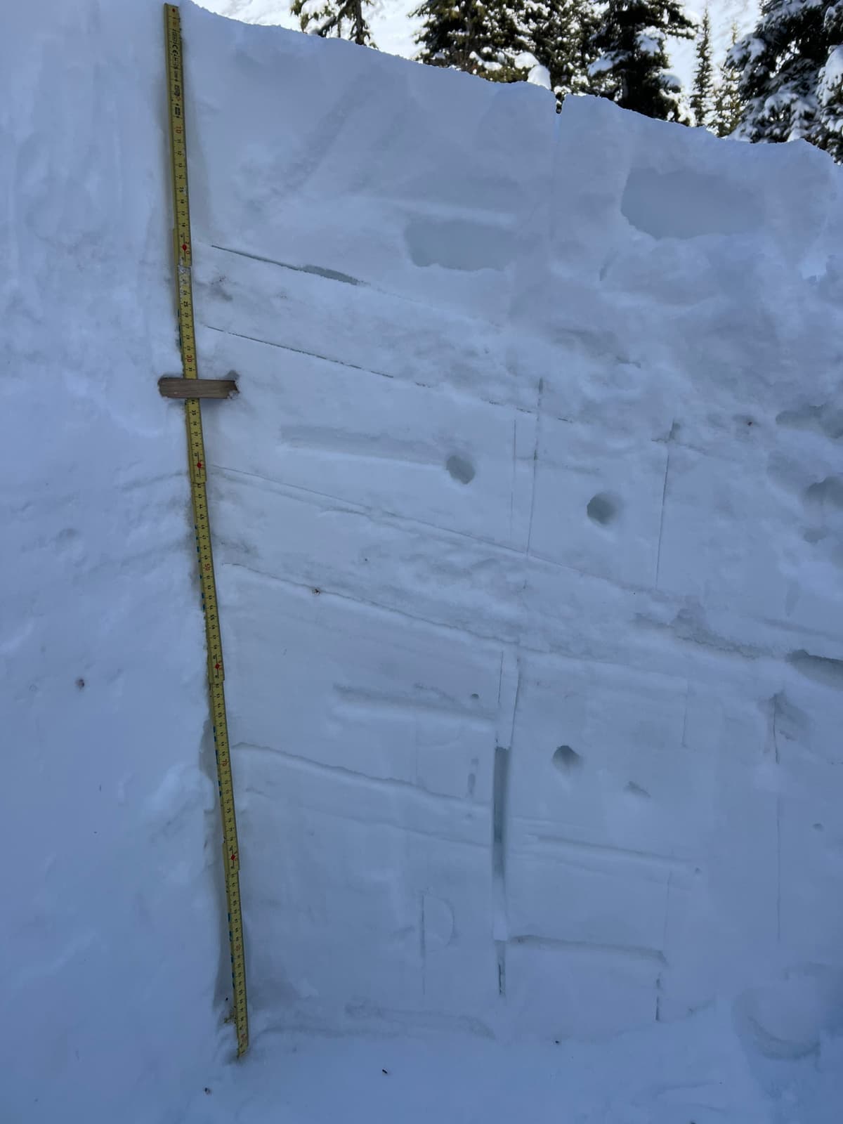 Lots to look at in the upper snowpack