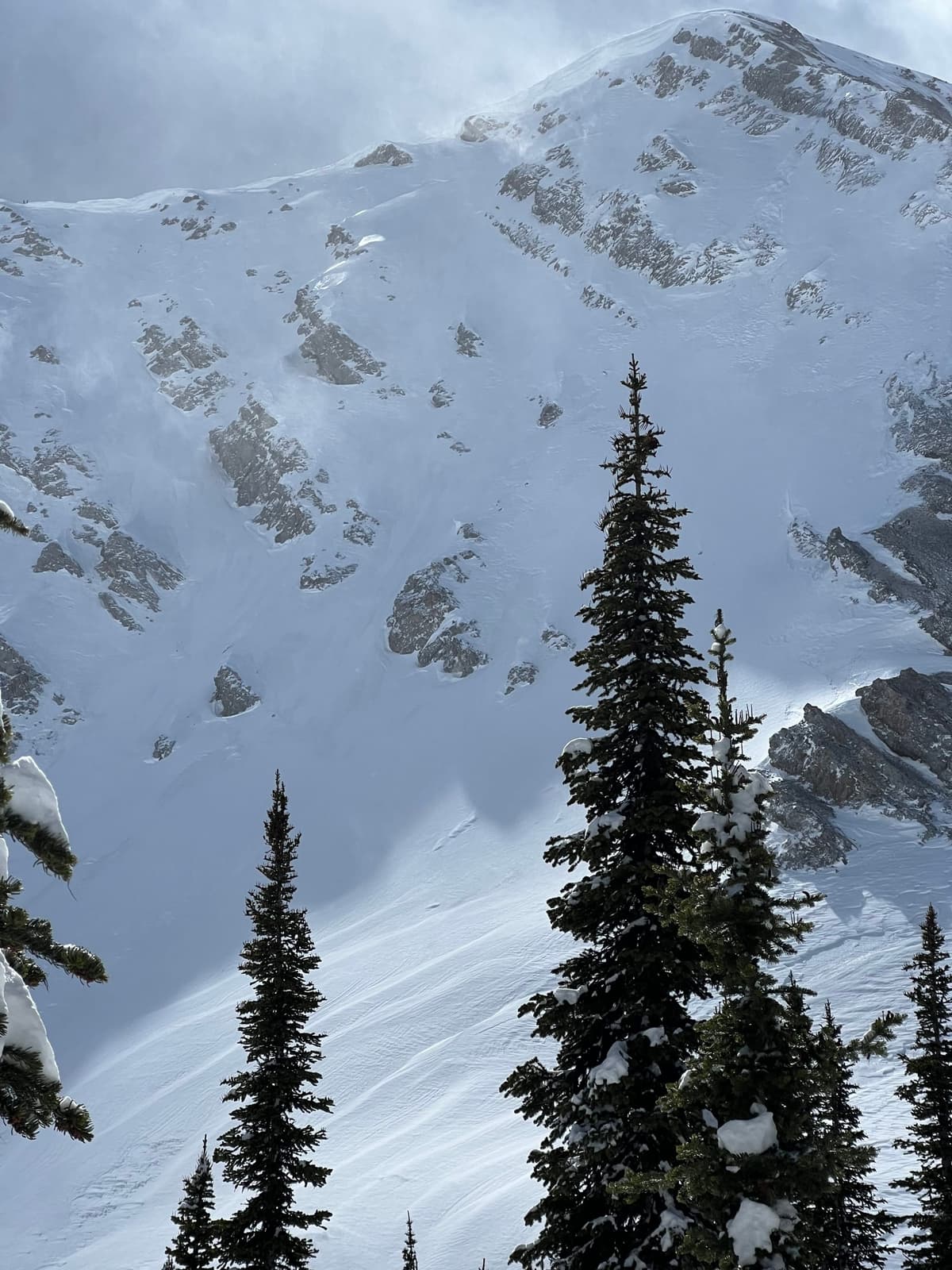 Cornice growth and wind affect in the alpine
