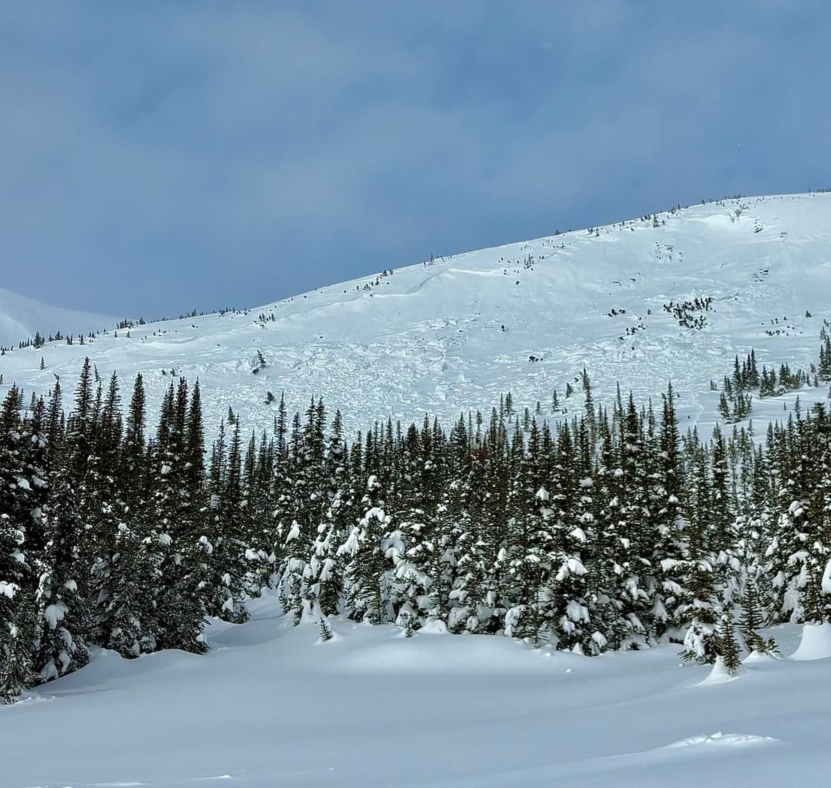 This avalanche was 150 cm deep at the fracture line in places and failed on the persistent weak layer. It was triggered sometime before this last storm. It may have been triggered by sledders as there were tracks nearby. 