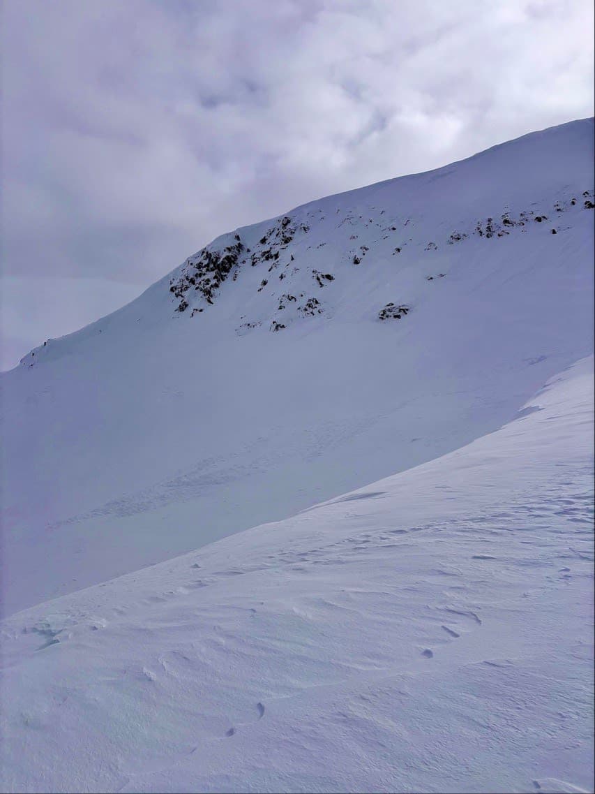 This wind slab was one of the most recent avalanches we saw, likely occurring in the last 12 hours and triggered by the NE winds loading this west facing slope.