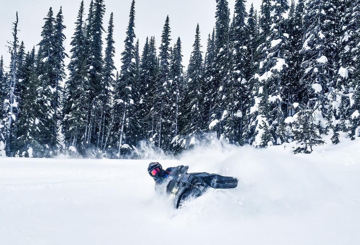 Best riding and powder is in non-wind affected areas below treeline. 