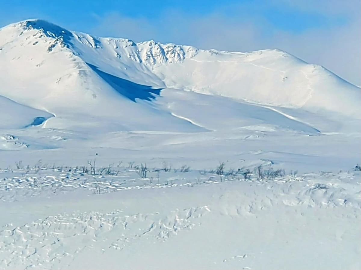 A large avalanche was seen from the highway. Suspected persistent slab. 